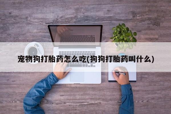 打胎药叫什么名字微信怎么购买宠物狗打胎药怎么吃(狗狗打胎药叫什么)